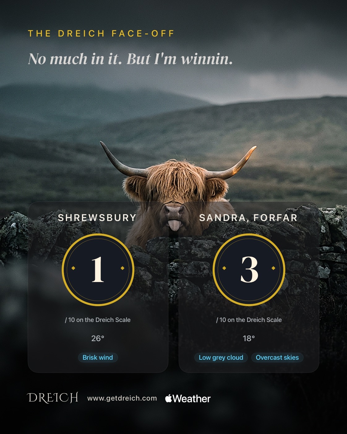 The Dreich Face-Off share card: a Highland cow between two scores, Shrewsbury 1 against Sandra in Forfar 3, captioned No much in it. But I'm winnin.